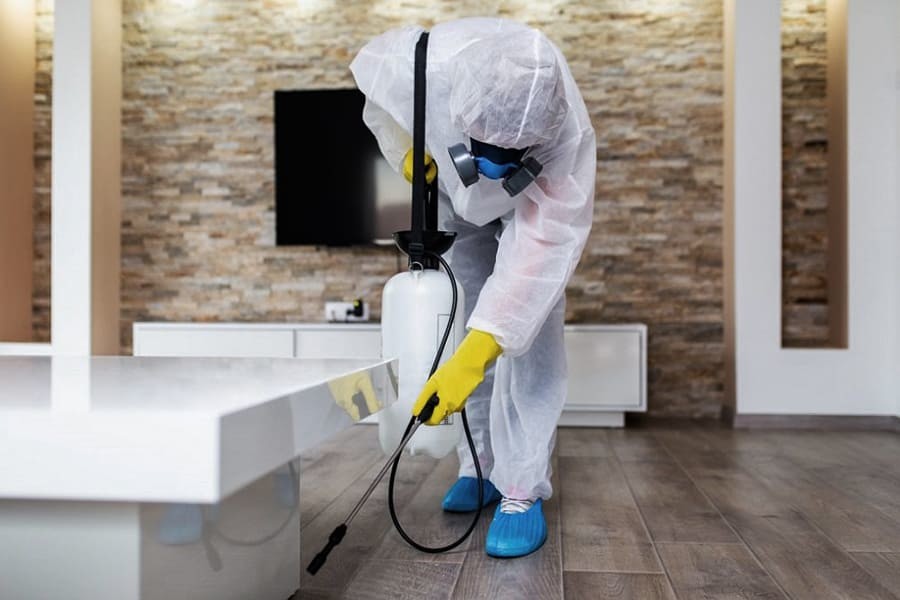 Tips to Follow When Sanitizing Your Home